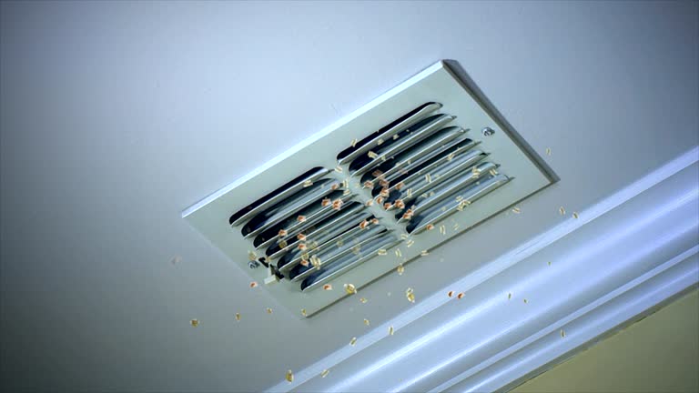Best Home Air Vent Cleaning  in Walton Hills, OH