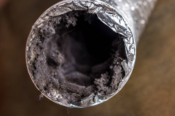 Best Commercial Air Duct Cleaning  in Walton Hills, OH